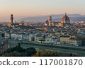 General view of Florence, Italy 117001870