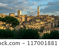 Medieval city of Siena, Italy 117001881