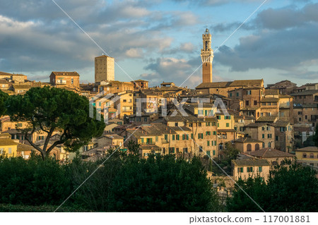 Medieval city of Siena, Italy 117001881