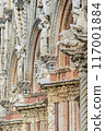 Medieval city of Siena, Italy 117001884