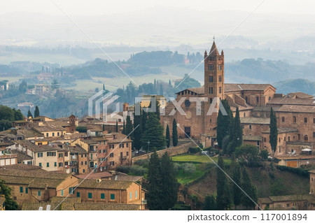 Medieval city of Siena, Italy 117001894