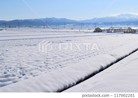 Rural scenery in snowy country Shonai, Yamagata Prefecture Rural scenery in snowy country Shonai, Yamagata Prefecture 117002281
