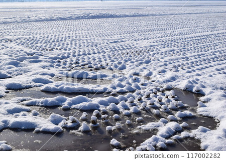 山形縣莊內雪國的田園風光 山形縣莊內雪國的田園風光 117002282