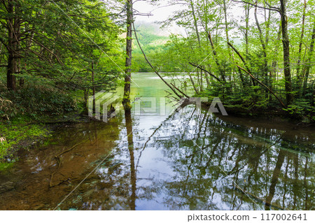 Kamikochi, one of Japan's leading mountain resorts, amidst fresh greenery Kamikochi, one of Japan's leading mountain resorts, amidst fresh greenery 117002641