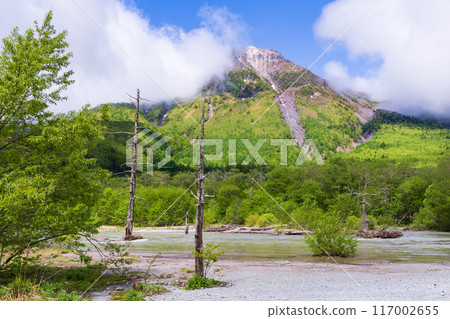 One of Japan's leading mountain resorts: Kamikochi with its fresh greenery and the Nakasenjozawa River 117002655