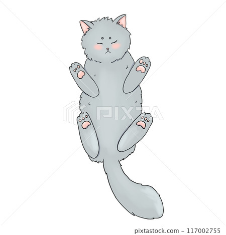 Gray cat sleeping on its back, simple illustration 117002755