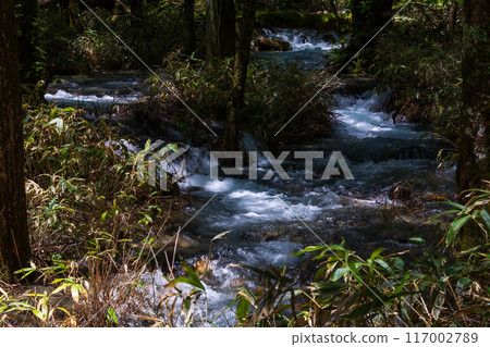 Kamikochi, one of Japan's leading mountain resorts, amidst fresh greenery 117002789