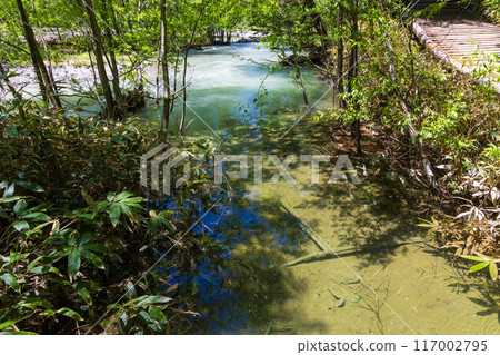 Kamikochi, one of Japan's leading mountain resorts, amidst fresh greenery Kamikochi, one of Japan's leading mountain resorts, amidst fresh greenery 117002795