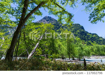 日本最好的山區度假勝地之一,綠樹成蔭的上高地 日本最好的山區度假勝地之一,綠樹成蔭的上高地 117002796