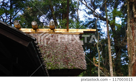 Ise shrine 117003015