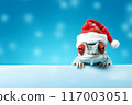 Funny chameleon in a red Santa Claus hat on a blue background. New Year or Christmas banner concept with chameleon and free space. 117003051