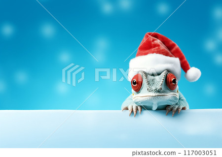 Funny chameleon in a red Santa Claus hat on a blue background. New Year or Christmas banner concept with chameleon and free space. 117003051