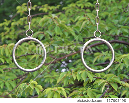 Metal hanging rings in a park 117003498