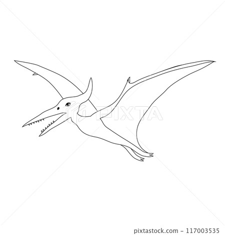 Vector flat outline pterodactyl dinosaur Vector flat outline pterodactyl dinosaur 117003535