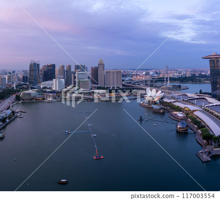 Panoramic view of Singapore at dusk 117003554