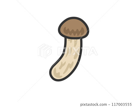 Illustration of matsutake mushroom icon (line drawing color) 117003555