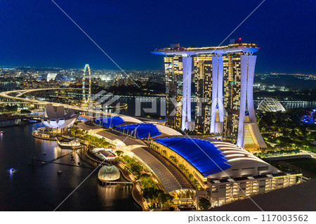 新加坡的壯麗景色 - 從上方看濱海灣的夜景 117003562