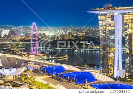 Night view of MBS and the Singapore Flyer 117003583