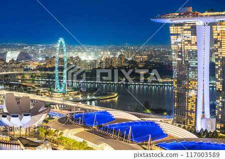 MBS 與新加坡摩天觀景輪閃耀的夜景 117003589