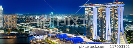 新加坡全景夜景 117003591