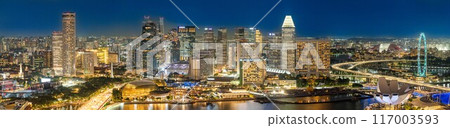 Cityscape Singapore panoramic night view 117003593