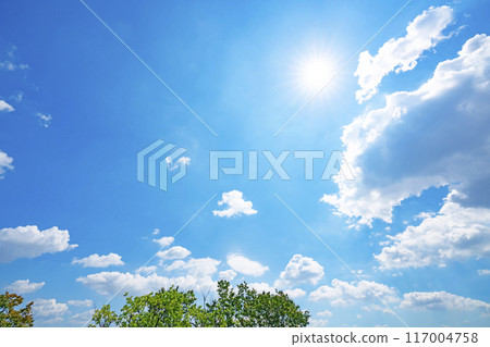 夏天的雲、樹木和陽光 夏天的雲、樹木和陽光 117004758