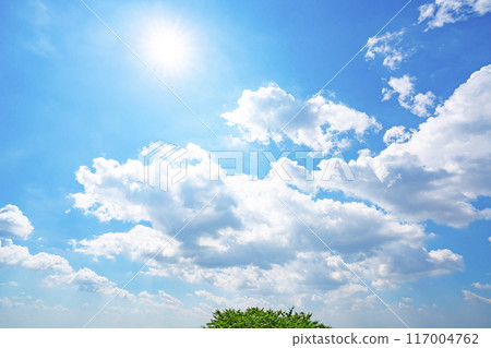 夏天的雲、樹木和陽光 夏天的雲、樹木和陽光 117004762