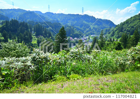 從新潟縣十日町市353號國道眺望清津川沿岸的里山風景 117004821