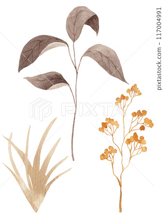 Watercolor painting of autumn plants. 117004991