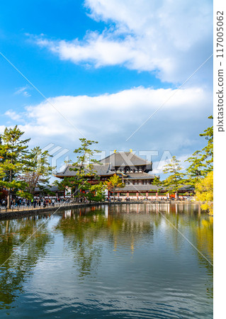 [Nara Prefecture] The Great Buddha Hall of Todaiji Temple seen from Kagami Pond 117005062