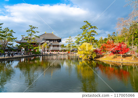 [Nara Prefecture] The Great Buddha Hall of Todaiji Temple seen from Kagami Pond 117005066