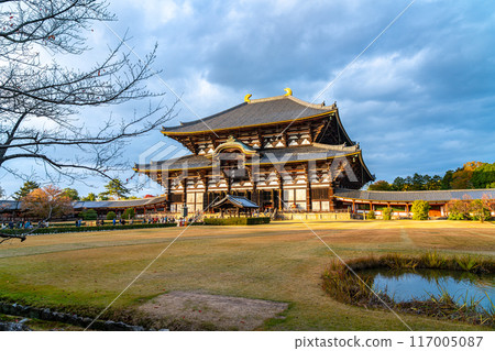 【奈良縣】夕陽照耀下的東大寺大佛殿 【奈良縣】夕陽照耀下的東大寺大佛殿 117005087