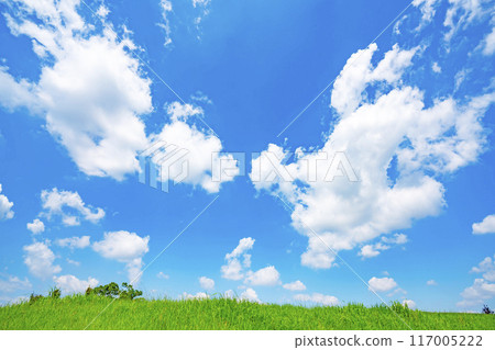 夏天藍天和草甸 117005222