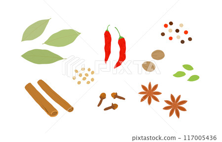 各種香料的插圖 各種香料的插圖 117005436