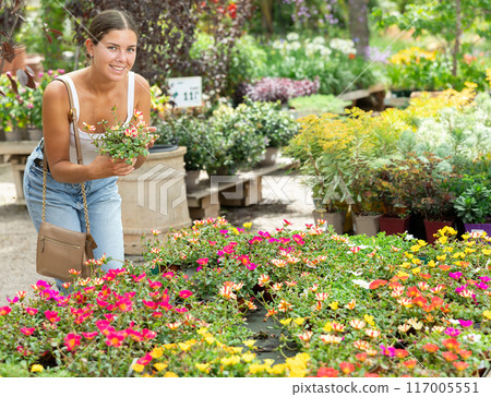 Young girl choosing blooming potted portulaca at garden center Young girl choosing blooming potted portulaca at garden center 117005551
