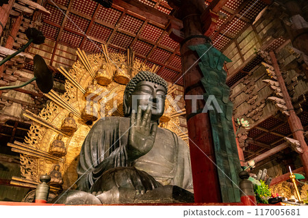 [奈良縣]東大寺大佛的夜景 117005681