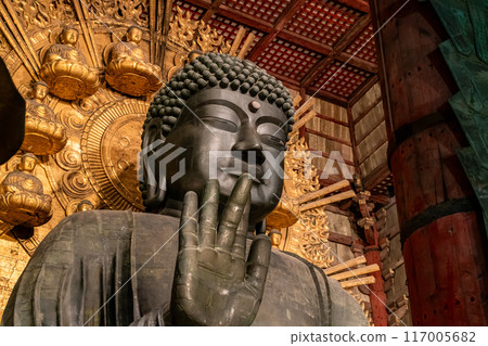 [奈良縣]東大寺大佛的夜景 117005682