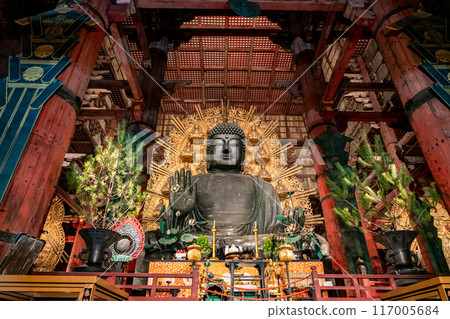 [Nara Prefecture] The Great Buddha of Todaiji Temple lit up at night 117005684