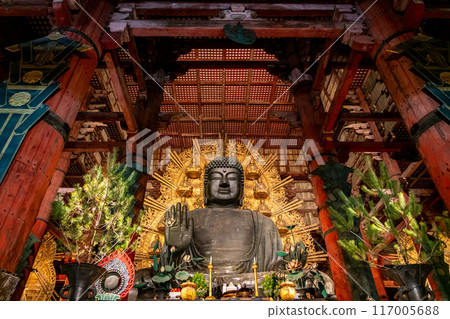 [Nara Prefecture] The Great Buddha of Todaiji Temple lit up at night 117005688