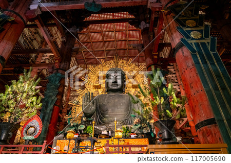 [奈良縣]東大寺大佛的夜景 117005690