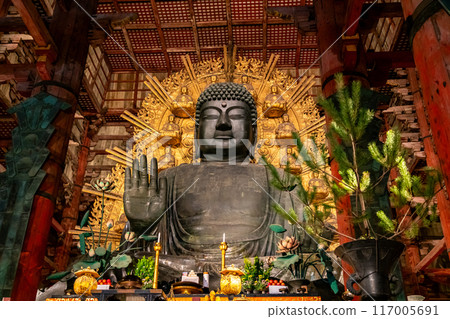 [Nara Prefecture] The Great Buddha of Todaiji Temple lit up at night 117005691