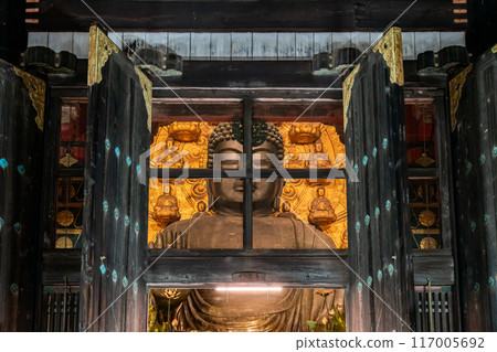 [Nara Prefecture] The illuminated Great Buddha of Todaiji Temple seen from outside 117005692