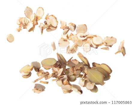 Organic fresh herbal galangal root head cut chop slice, close up texture. White background isolated freeze motion high speed shutter. Galangal fly in mid air, fresh vegetable spice galangal falling 117005863