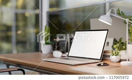 A laptop computer, a table lamp, and decorative plants on a wooden table in a modern office. 117005972