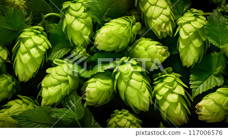 啤酒花雄花(錐花) 啤酒花雄花(錐花) 117006576