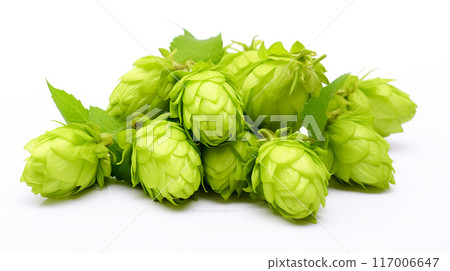 啤酒花雄花(錐花) 啤酒花雄花(錐花) 117006647