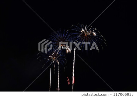夏日夜空綻放的大型煙花 117006933