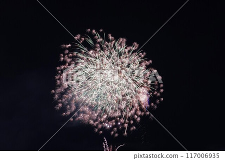 Fireworks Fireworks 117006935