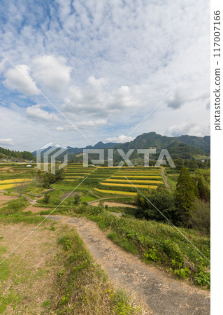 收成後的稻田與鄉村（宮崎縣高千穗町） 117007166