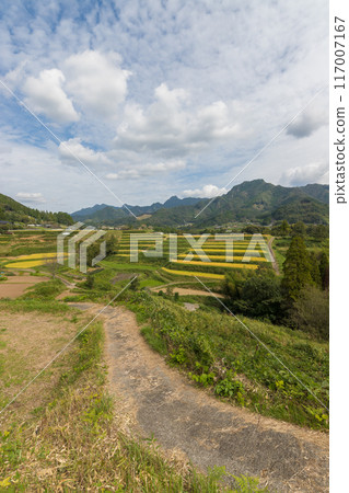 收成後的稻田與鄉村（宮崎縣高千穗町） 117007167